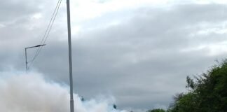 INTENSIFICAN LOS OPERATIVOS DE PREVENCIÓN PARA EVITAR LA PROPAGACIÓN DEL DENGUE EN LOS ALTOS