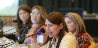 La Secretaría de las Mujeres, Géneros y Diversidad dio a conocer datos provinciales sobre violencias por motivos de géneros