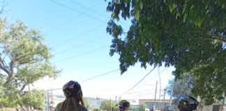 Recorrer la ciudad mediante bicicletas asistidas, una de las opciones más elegidas por los turistas en la Capital