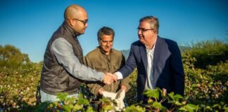 Buenos rendimientos en los primeros ensayos de cultivo de algodón