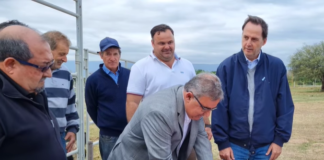 Entregaron importante núcleo genético a productores tamberos de la provincia