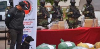 Alanís quedó detenido, nuevamente, en un megaoperativo antidroga