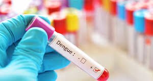 Se detectaron 82 casos positivos de Dengue en la Provincia en la ultima semana