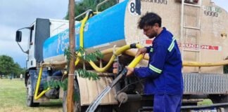 Pusieron más de 30 mil árboles con el plan de reforestación