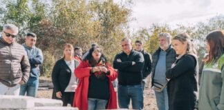 Emprendimiento de Blocks ecológicos
