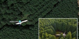 En este bosque hay ‘aparcado’ un Boeing 727 (y se puede ver en Google Maps)