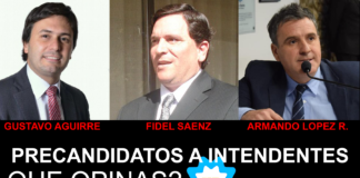 Habría Paso por la intendencia de la Capital dentro del Partido Justicialista