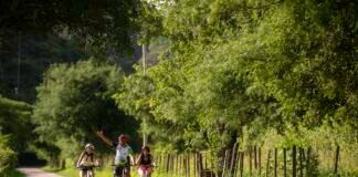 InTur 4: Nación reedita Programa de Incentivo para Inversión Turística