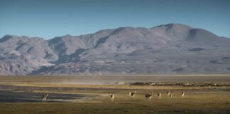 Laguna Blanca competirá para ser uno de los mejores pueblos turísticos del mundo