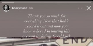 Lana Del Rey abandonó las redes sociales
