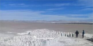 Secuestran más de mil bolsas con diatomea en Antofagasta de la Sierra