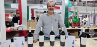 Vino de Catamarca obtuvo reconocimiento de un crítico internacional