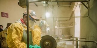 CAMYEN prepara una exportación de Rosa del Inca a España