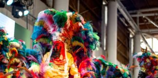 Carnavales ancestrales en la Fiesta del Poncho