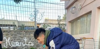 Cosecha en la Huerta del Centro Terapéutico