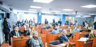 El límite a las reelecciones indefinidas fue aprobado de forma unánime en Diputados