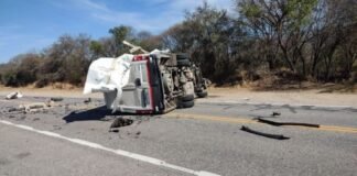 Herido tras choque entre una combi y un camión