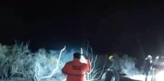 En Tinogasta, el zonda tiró árboles y postes