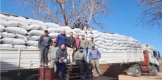 CATAMARCA EXPORTA 75 TONELADAS DE NUECES CHANDLER A INDIA