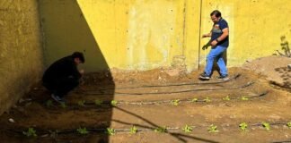 Sistemas de riego para huertas ecológicas