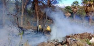 Arduo trabajo de brigadistas y bomberos en incendio en FME