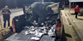 Interceptaron 110 kilos de hojas de coca y 70 neumáticos de contrabando