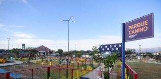Parque Canino: un espacio destinado a las mascotas