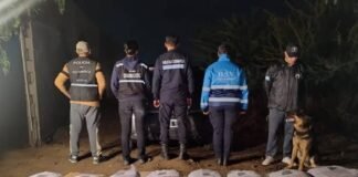 Trasladaba 121 kilos de marihuana y se dio a la fuga