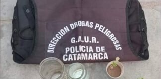 Desarticulan «kioscos» de narcomenudeo: dos personas detenidas