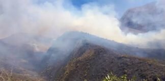 Bomberos y brigadistas trabajan para controlar el fuego camino al El Rodeo