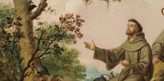 Culmina el triduo en honor de San Francisco de Asís