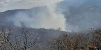 Incendio de gran magnitud en Andalgalá