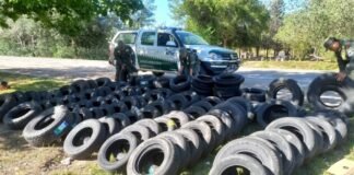 Interceptaron más de 140 cubiertas de contrabando