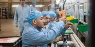 La industria es uno de los sectores que más empleo formal creó en Catamarca