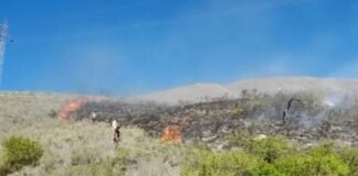 Un desperfecto mecánico causo un incendio forestal