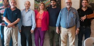 El Radicalismo PRO fiscalizara para MIlei