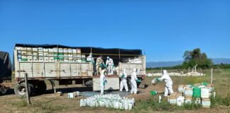 Campaña de recepción de envases fitosanitarios en Los Altos