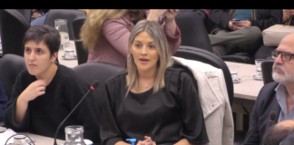 Centurión defendió en Diputados el financiamiento educativo para Catamarca y el país