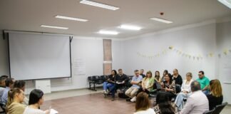 Dengue: estudian la implementación de una estrategia de vacunación