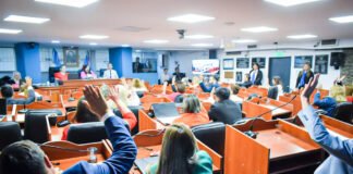 Diputados aprobó que la violencia de género impida el ingreso, permanencia y ejercicio como trabajador o funcionario del Estado