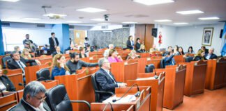 Diputados: Ingresó el proyecto para limitar las reelecciones