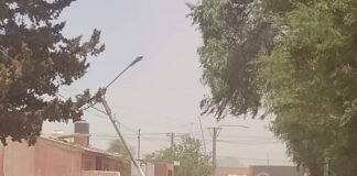 El viento zonda provocó graves incovenientes en el interior provincial