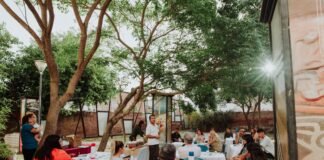 𝗟𝗼𝘀 𝘀𝗲𝗰𝗿𝗲𝘁𝗼𝘀 𝗱𝗲 𝗹𝗮 𝘆𝗲𝗿𝗯𝗮 𝗺𝗮𝘁𝗲, 𝗰𝗼𝗺𝗽𝗮𝗿𝘁𝗶𝗱𝗼𝘀 𝗲𝗻 𝘂𝗻 𝘁𝗮𝗹𝗹𝗲𝗿