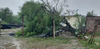 Graves destrozos tras temporal en la zona norte de Los Altos
