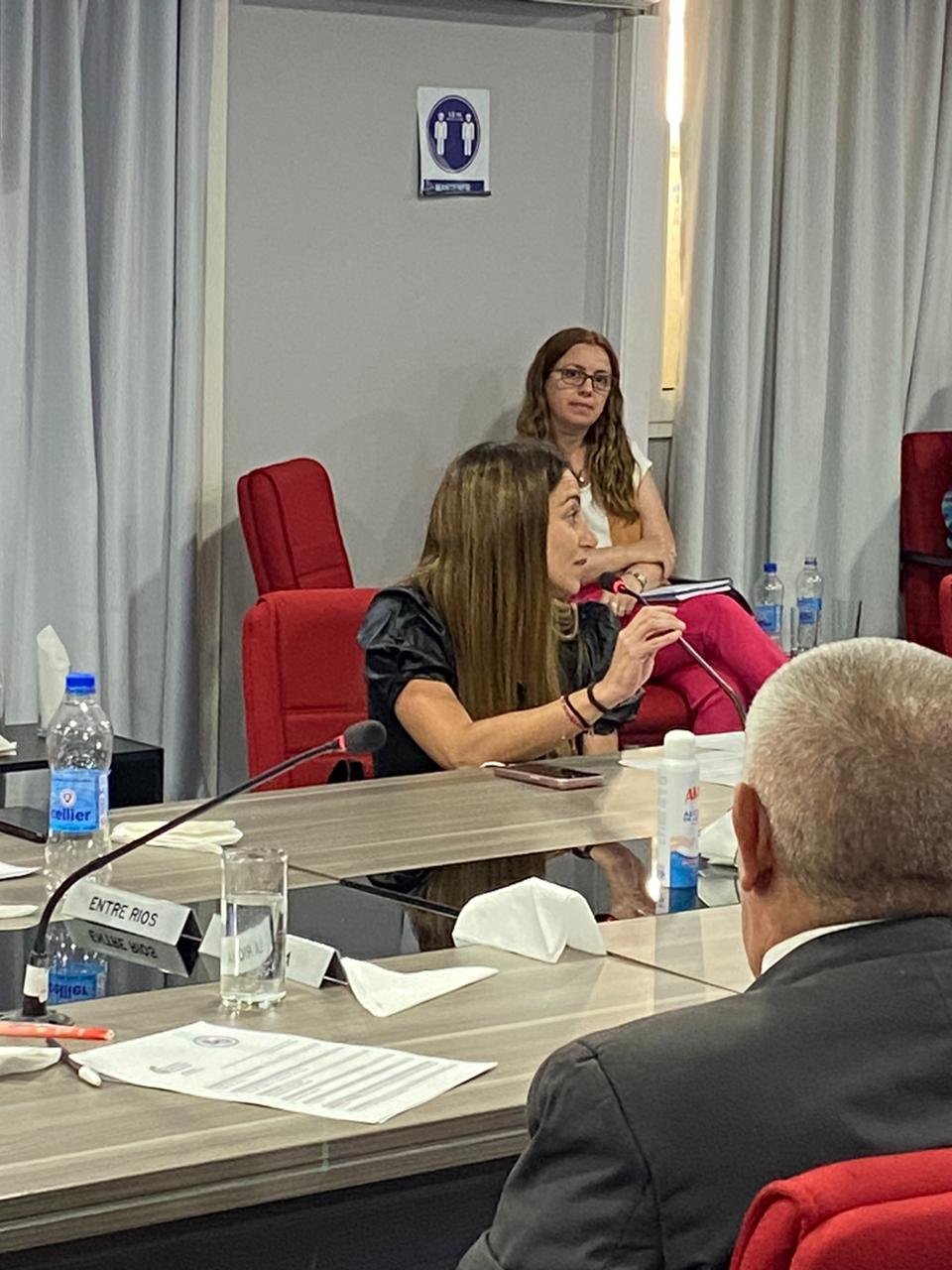 La ministra Alejandra Nazareno preside la Comisión Federal de Impuestos