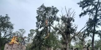 SANTA ROSA SE VIO AFECTADA POR LA TORMENTA