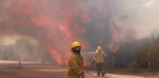 Bomberos controlan incendio en Tinogasta