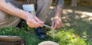 Confirmaron dos casos importados de Dengue