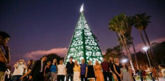 El Árbol de Navidad en el Paseo de la Fe se instalará luego de las festividades marianas