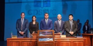 Francisco Sosa presidirá el CD Capital